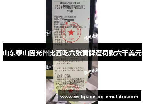 山东泰山因光州比赛吃六张黄牌遭罚款六千美元