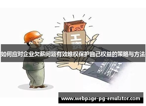 如何应对企业欠薪问题有效维权保护自己权益的策略与方法