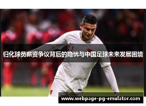 归化球员薪资争议背后的隐忧与中国足球未来发展困境