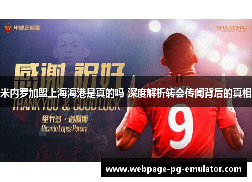 米内罗加盟上海海港是真的吗 深度解析转会传闻背后的真相