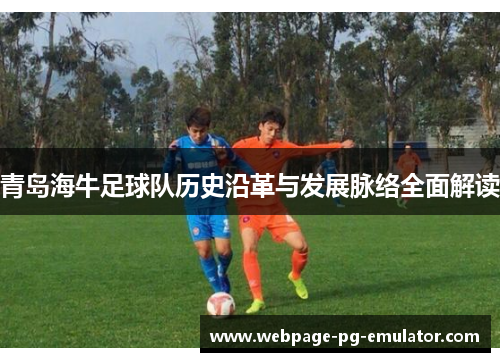 青岛海牛足球队历史沿革与发展脉络全面解读