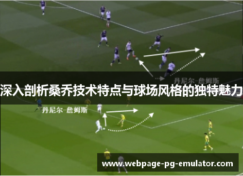 深入剖析桑乔技术特点与球场风格的独特魅力