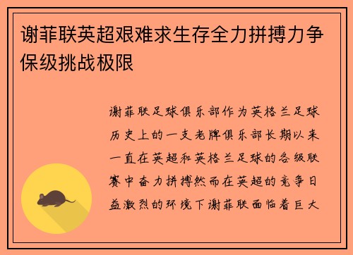 谢菲联英超艰难求生存全力拼搏力争保级挑战极限